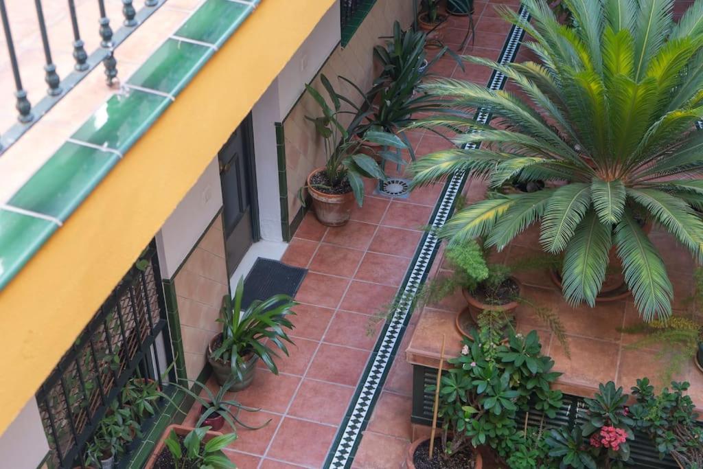 Apartamento Junto A Las Setas De Sevilla المظهر الخارجي الصورة